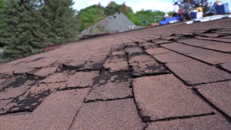 Best Rubber Roofing (EPDM, TPO)  in Bargersville, IN
